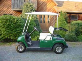 FarmGolf Newsletter – Volume 4, Issue 1 – June 6, 2002