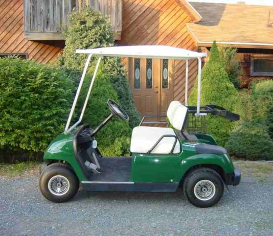 FarmGolf Newsletter – Volume 4, Issue 1 – June 6, 2002